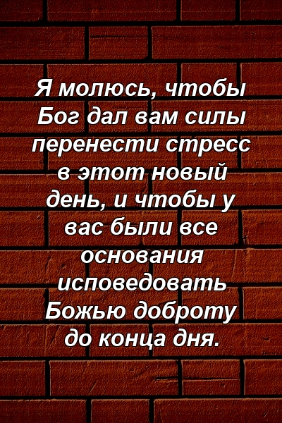 Я молюсь, чтобы Бог дал вам силы перенести стресс в этот новый день, и чтобы у вас были все основания исповедовать Божью доброту до конца дня.