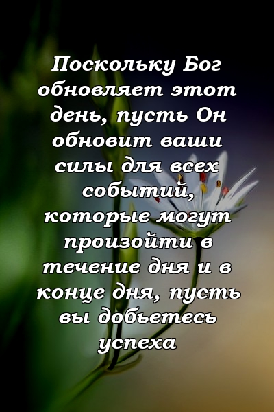 Поскольку Бог обновляет этот день, пусть Он обновит ваши силы для всех событий, которые могут произойти в течение дня и в конце дня, пусть вы добьетесь успеха