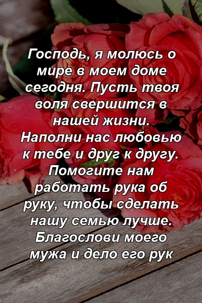 Господь, я молюсь о мире в моем доме сегодня. Пусть твоя воля свершится в нашей жизни. Наполни нас любовью к тебе и друг к другу. Помогите нам работать рука об руку, чтобы сделать нашу семью лучше. Благослови моего мужа и дело его рук