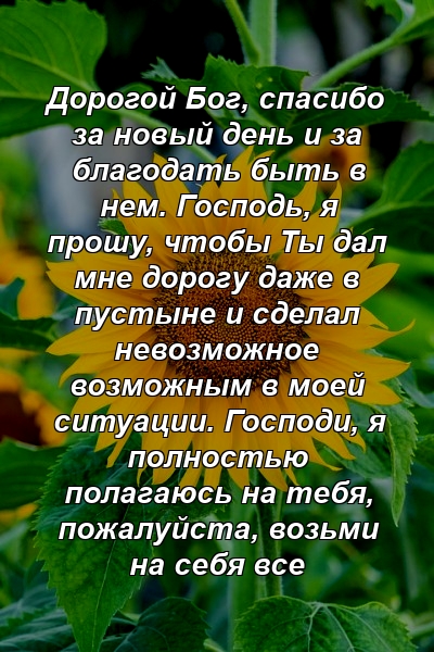 Дорогой Бог, спасибо за новый день и за благодать быть в нем. Господь, я прошу, чтобы Ты дал мне дорогу даже в пустыне и сделал невозможное возможным в моей ситуации. Господи, я полностью полагаюсь на тебя, пожалуйста, возьми на себя все