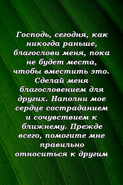 Господь, сегодня, как никогда раньше, благослови меня, пока не будет места, чтобы вместить это. Сделай меня благословением для других. Наполни мое сердце состраданием и сочувствием к ближнему. Прежде всего, помогите мне правильно относиться к другим