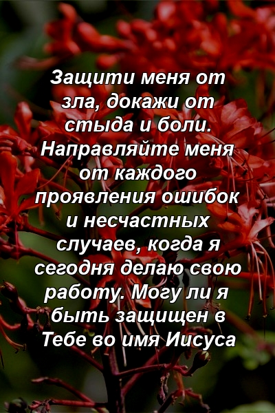 Защити меня от зла, докажи от стыда и боли. Направляйте меня от каждого проявления ошибок и несчастных случаев, когда я сегодня делаю свою работу. Могу ли я быть защищен в Тебе во имя Иисуса