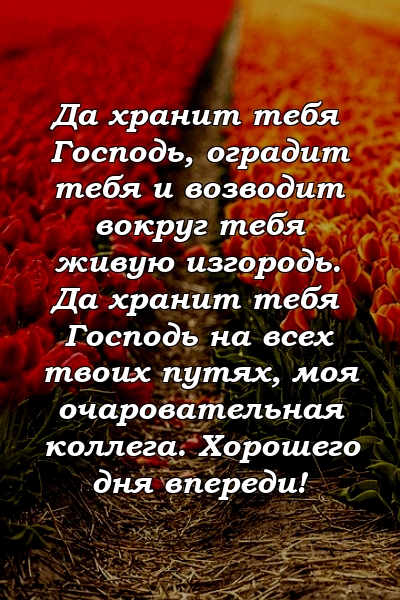 Да хранит тебя Господь, оградит тебя и возводит вокруг тебя живую изгородь. Да хранит тебя Господь на всех твоих путях, моя очаровательная коллега. Хорошего дня впереди!