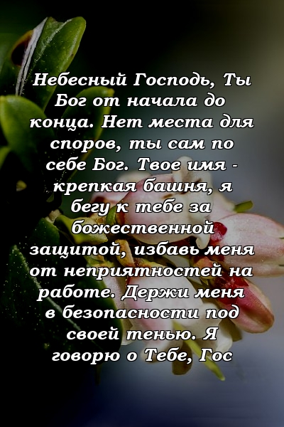 Небесный Господь, Ты Бог от начала до конца. Нет места для споров, ты сам по себе Бог. Твое имя - крепкая башня, я бегу к тебе за божественной защитой, избавь меня от неприятностей на работе. Держи меня в безопасности под своей тенью. Я говорю о Тебе, Гос