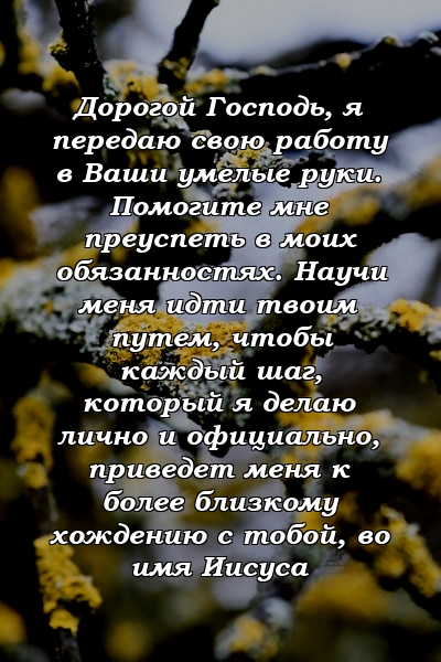 Дорогой Господь, я передаю свою работу в Ваши умелые руки. Помогите мне преуспеть в моих обязанностях. Научи меня идти твоим путем, чтобы каждый шаг, который я делаю лично и официально, приведет меня к более близкому хождению с тобой, во имя Иисуса