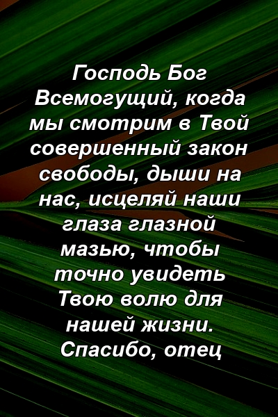 Господь Бог Всемогущий, когда мы смотрим в Твой совершенный закон свободы, дыши на нас, исцеляй наши глаза глазной мазью, чтобы точно увидеть Твою волю для нашей жизни. Спасибо, отец