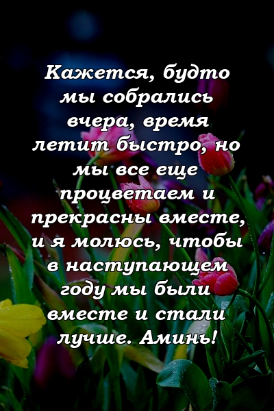 Кажется, будто мы собрались вчера, время летит быстро, но мы все еще процветаем и прекрасны вместе, и я молюсь, чтобы в наступающем году мы были вместе и стали лучше. Аминь!