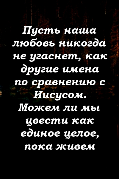 Пусть наша любовь никогда не угаснет, как другие имена по сравнению с Иисусом. Можем ли мы цвести как единое целое, пока живем