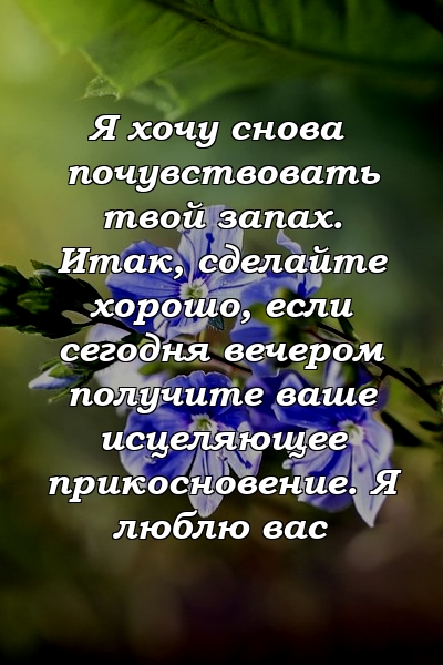 Я хочу снова почувствовать твой запах. Итак, сделайте хорошо, если сегодня вечером получите ваше исцеляющее прикосновение. Я люблю вас