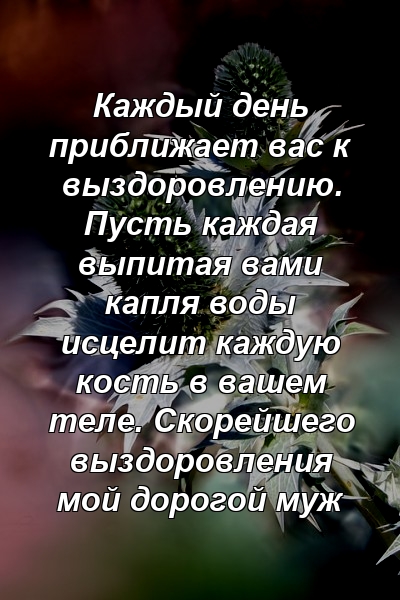 Каждый день приближает вас к выздоровлению. Пусть каждая выпитая вами капля воды исцелит каждую кость в вашем теле. Скорейшего выздоровления мой дорогой муж