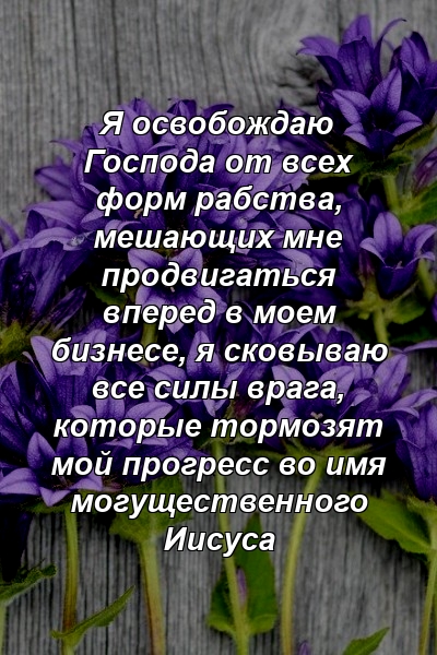 Я освобождаю Господа от всех форм рабства, мешающих мне продвигаться вперед в моем бизнесе, я сковываю все силы врага, которые тормозят мой прогресс во имя могущественного Иисуса