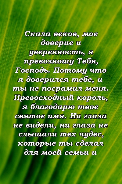 Скала веков, мое доверие и уверенность, я превозношу Тебя, Господь. Потому что я доверился тебе, и ты не посрамил меня. Превосходный король, я благодарю твое святое имя. Ни глаза не видели, ни глаза не слышали тех чудес, которые ты сделал для моей семьи и