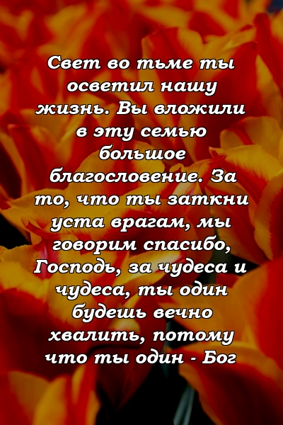 Свет во тьме ты осветил нашу жизнь. Вы вложили в эту семью большое благословение. За то, что ты заткни уста врагам, мы говорим спасибо, Господь, за чудеса и чудеса, ты один будешь вечно хвалить, потому что ты один - Бог