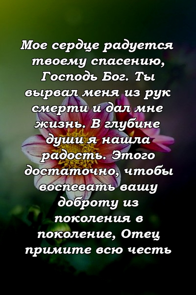 Мое сердце радуется твоему спасению, Господь Бог. Ты вырвал меня из рук смерти и дал мне жизнь. В глубине души я нашла радость. Этого достаточно, чтобы воспевать вашу доброту из поколения в поколение, Отец примите всю честь