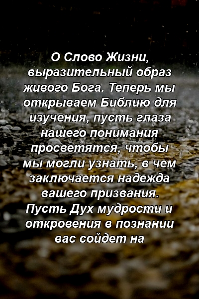 О Слово Жизни, выразительный образ живого Бога. Теперь мы открываем Библию для изучения, пусть глаза нашего понимания просветятся, чтобы мы могли узнать, в чем заключается надежда вашего призвания. Пусть Дух мудрости и откровения в познании вас сойдет на 