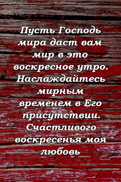 Пусть Господь мира даст вам мир в это воскресное утро. Наслаждайтесь мирным временем в Его присутствии. Счастливого воскресенья моя любовь