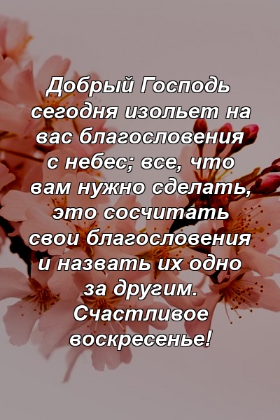 Добрый Господь сегодня изольет на вас благословения с небес; все, что вам нужно сделать, это сосчитать свои благословения и назвать их одно за другим. Счастливое воскресенье!