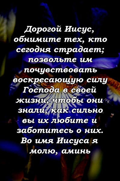 Дорогой Иисус, обнимите тех, кто сегодня страдает; позвольте им почувствовать воскресающую силу Господа в своей жизни, чтобы они знали, как сильно вы их любите и заботитесь о них. Во имя Иисуса я молю, аминь