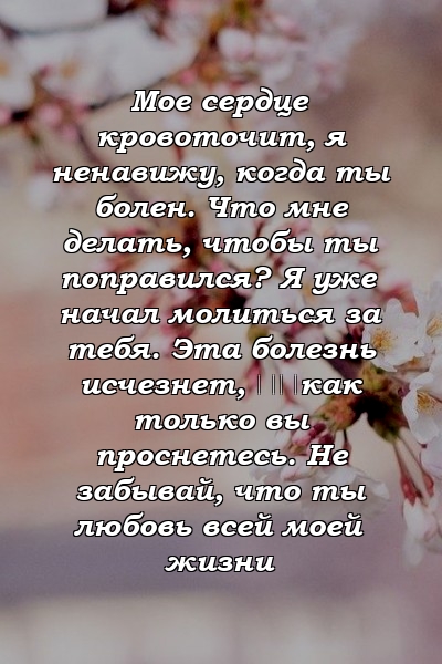 Мое сердце кровоточит, я ненавижу, когда ты болен. Что мне делать, чтобы ты поправился? Я уже начал молиться за тебя. Эта болезнь исчезнет, ​​как только вы проснетесь. Не забывай, что ты любовь всей моей жизни