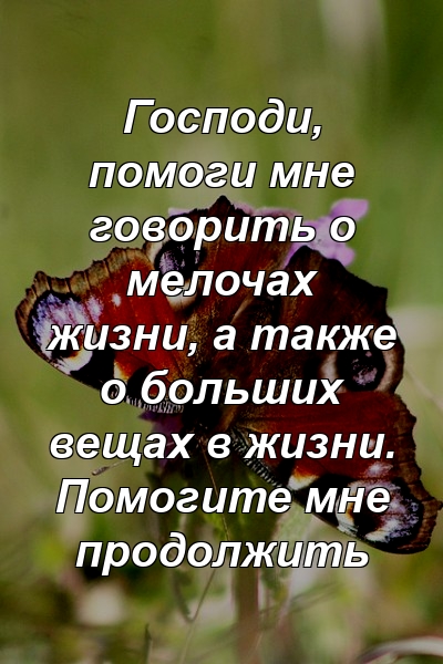 Господи, помоги мне говорить о мелочах жизни, а также о больших вещах в жизни. Помогите мне продолжить