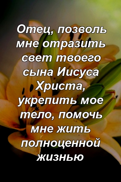 Отец, позволь мне отразить свет твоего сына Иисуса Христа, укрепить мое тело, помочь мне жить полноценной жизнью