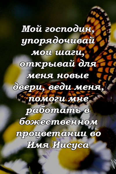 Мой господин, упорядочивай мои шаги, открывай для меня новые двери, веди меня, помоги мне работать в божественном процветании во Имя Иисуса