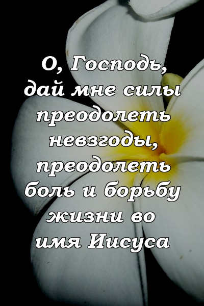 О, Господь, дай мне силы преодолеть невзгоды, преодолеть боль и борьбу жизни во имя Иисуса