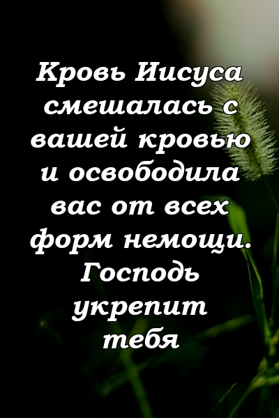 Кровь Иисуса смешалась с вашей кровью и освободила вас от всех форм немощи. Господь укрепит тебя