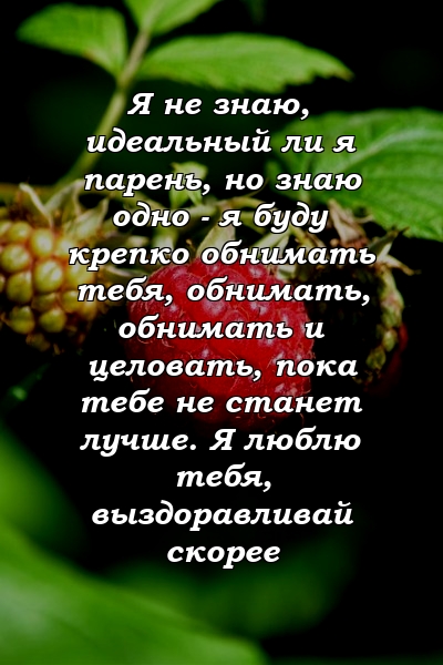 Я не знаю, идеальный ли я парень, но знаю одно - я буду крепко обнимать тебя, обнимать, обнимать и целовать, пока тебе не станет лучше. Я люблю тебя, выздоравливай скорее