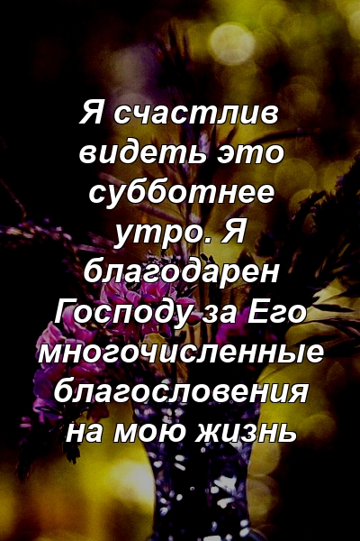 Я счастлив видеть это субботнее утро. Я благодарен Господу за Его многочисленные благословения на мою жизнь