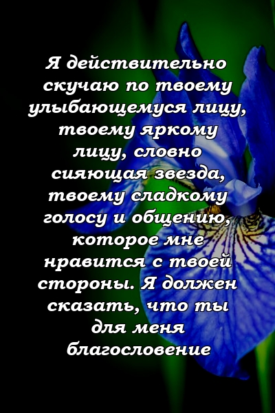 Я действительно скучаю по твоему улыбающемуся лицу, твоему яркому лицу, словно сияющая звезда, твоему сладкому голосу и общению, которое мне нравится с твоей стороны. Я должен сказать, что ты для меня благословение