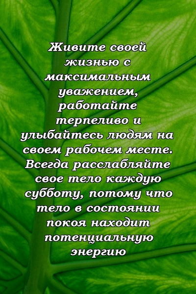 Живите своей жизнью с максимальным уважением, работайте терпеливо и улыбайтесь людям на своем рабочем месте. Всегда расслабляйте свое тело каждую субботу, потому что тело в состоянии покоя находит потенциальную энергию