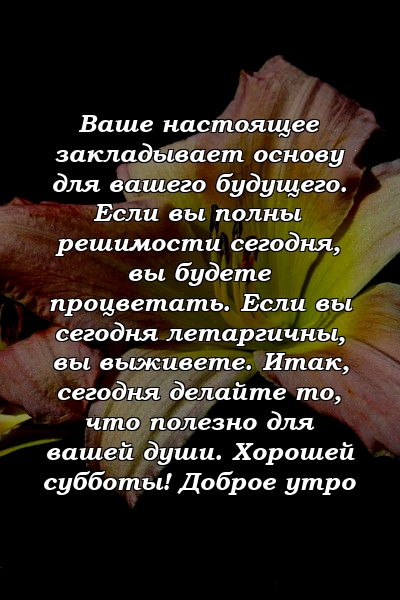 Ваше настоящее закладывает основу для вашего будущего. Если вы полны решимости сегодня, вы будете процветать. Если вы сегодня летаргичны, вы выживете. Итак, сегодня делайте то, что полезно для вашей души. Хорошей субботы! Доброе утро