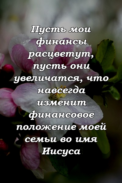 Пусть мои финансы расцветут, пусть они увеличатся, что навсегда изменит финансовое положение моей семьи во имя Иисуса