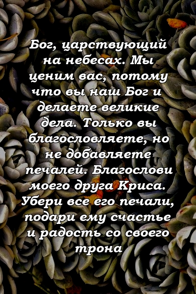 Бог, царствующий на небесах. Мы ценим вас, потому что вы наш Бог и делаете великие дела. Только вы благословляете, но не добавляете печалей. Благослови моего друга Криса. Убери все его печали, подари ему счастье и радость со своего трона