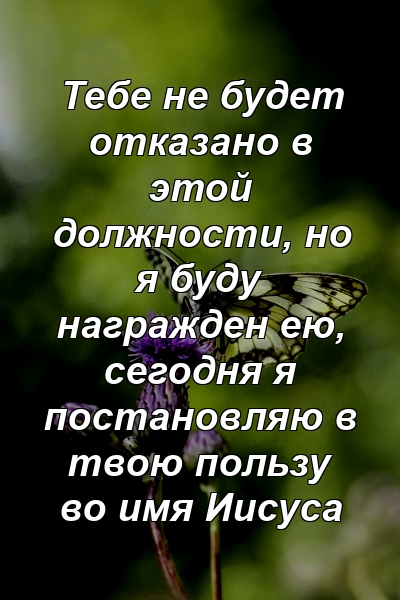 Тебе не будет отказано в этой должности, но я буду награжден ею, сегодня я постановляю в твою пользу во имя Иисуса