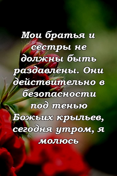 Мои братья и сестры не должны быть раздавлены. Они действительно в безопасности под тенью Божьих крыльев, сегодня утром, я молюсь