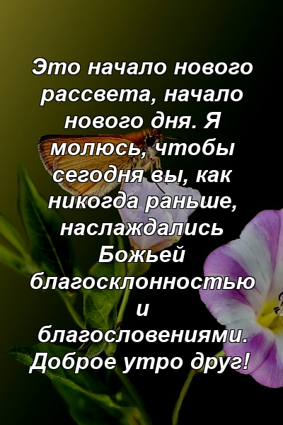 Это начало нового рассвета, начало нового дня. Я молюсь, чтобы сегодня вы, как никогда раньше, наслаждались Божьей благосклонностью и благословениями. Доброе утро друг!