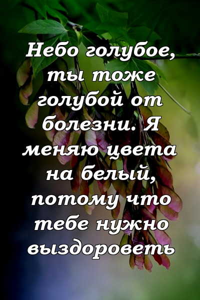 Небо голубое, ты тоже голубой от болезни. Я меняю цвета на белый, потому что тебе нужно выздороветь