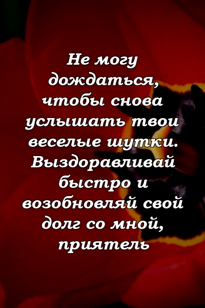 Не могу дождаться, чтобы снова услышать твои веселые шутки. Выздоравливай быстро и возобновляй свой долг со мной, приятель