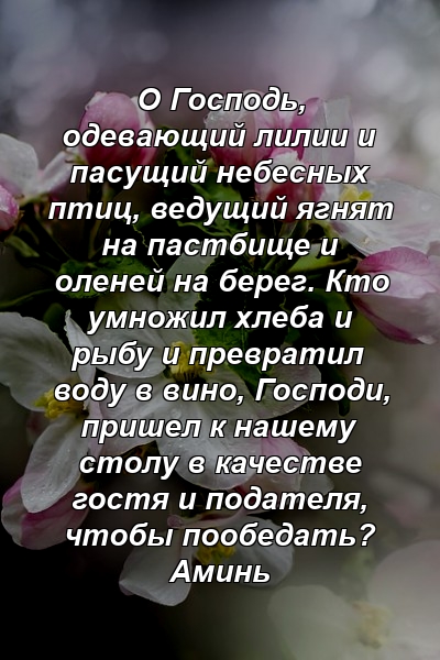 О Господь, одевающий лилии и пасущий небесных птиц, ведущий ягнят на пастбище и оленей на берег. Кто умножил хлеба и рыбу и превратил воду в вино, Господи, пришел к нашему столу в качестве гостя и подателя, чтобы пообедать? Аминь