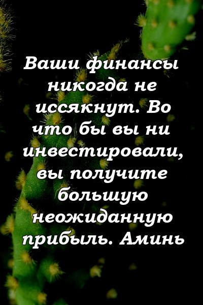 Ваши финансы никогда не иссякнут. Во что бы вы ни инвестировали, вы получите большую неожиданную прибыль. Аминь