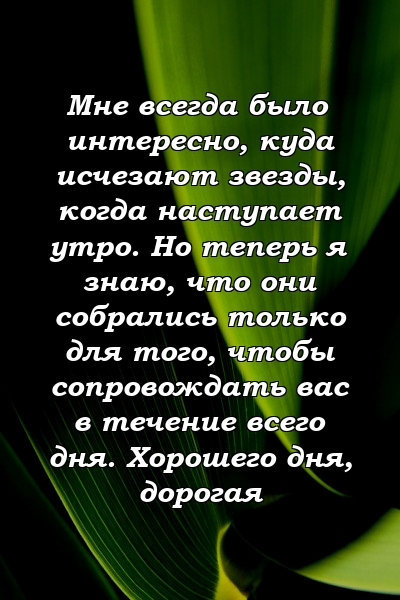 Мне всегда было интересно, куда исчезают звезды, когда наступает утро. Но теперь я знаю, что они собрались только для того, чтобы сопровождать вас в течение всего дня. Хорошего дня, дорогая