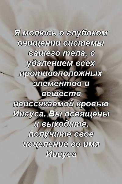 Я молюсь о глубоком очищении системы вашего тела, с удалением всех противоположных элементов и веществ неиссякаемой кровью Иисуса. Вы освящены и выходите, получите свое исцеление во имя Иисуса