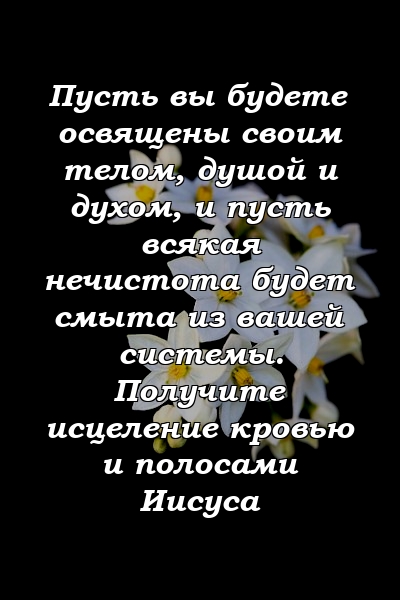 Пусть вы будете освящены своим телом, душой и духом, и пусть всякая нечистота будет смыта из вашей системы. Получите исцеление кровью и полосами Иисуса