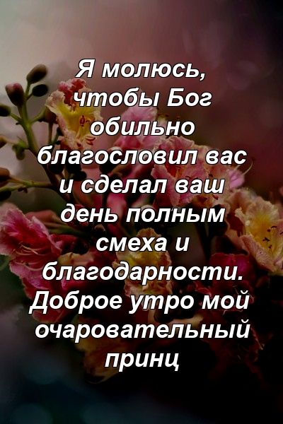 Я молюсь, чтобы Бог обильно благословил вас и сделал ваш день полным смеха и благодарности. Доброе утро мой очаровательный принц