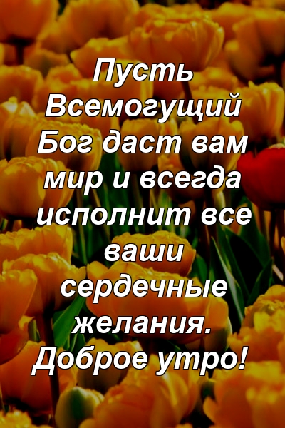 Пусть Всемогущий Бог даст вам мир и всегда исполнит все ваши сердечные желания. Доброе утро!