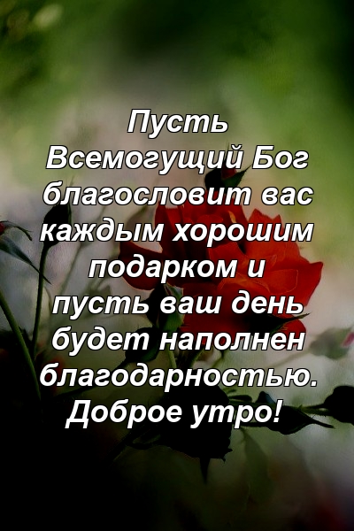 Пусть Всемогущий Бог благословит вас каждым хорошим подарком и пусть ваш день будет наполнен благодарностью. Доброе утро!