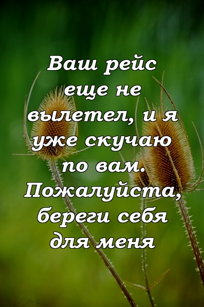 Ваш рейс еще не вылетел, и я уже скучаю по вам. Пожалуйста, береги себя для меня