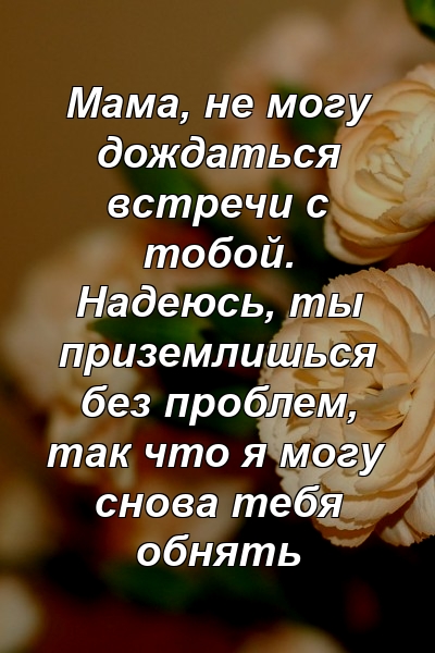 Мама, не могу дождаться встречи с тобой. Надеюсь, ты приземлишься без проблем, так что я могу снова тебя обнять